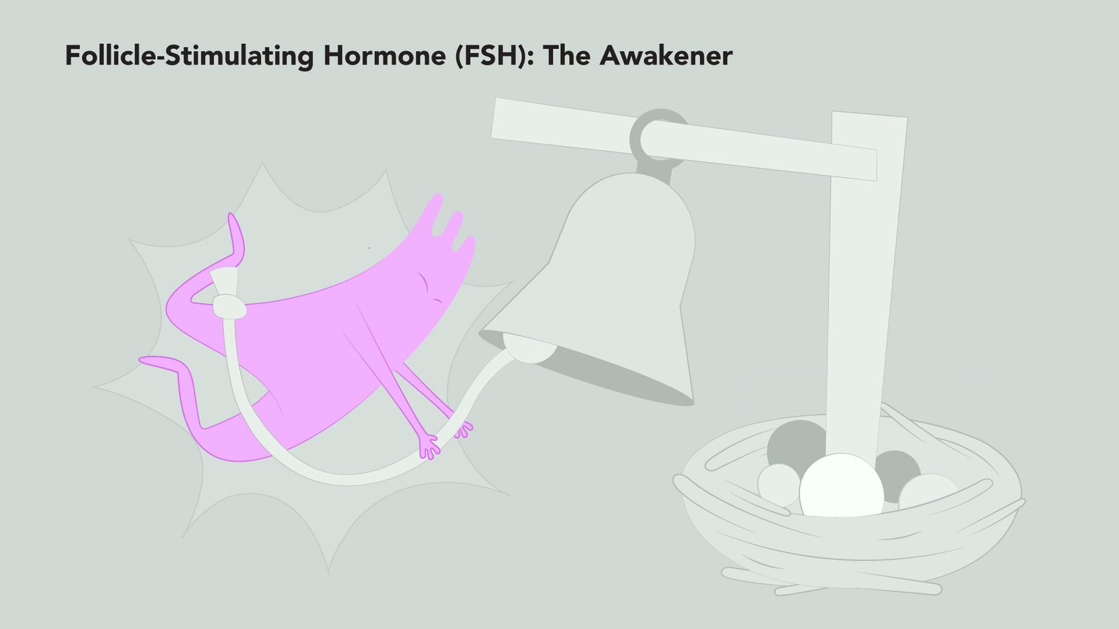 Illustration titled “Follicle-Stimulating Hormone (FSH): The Awakener” showing a pink character energetically ringing a large bell near a nest of eggs, symbolizing the hormone’s role in waking up the ovaries to stimulate egg development.