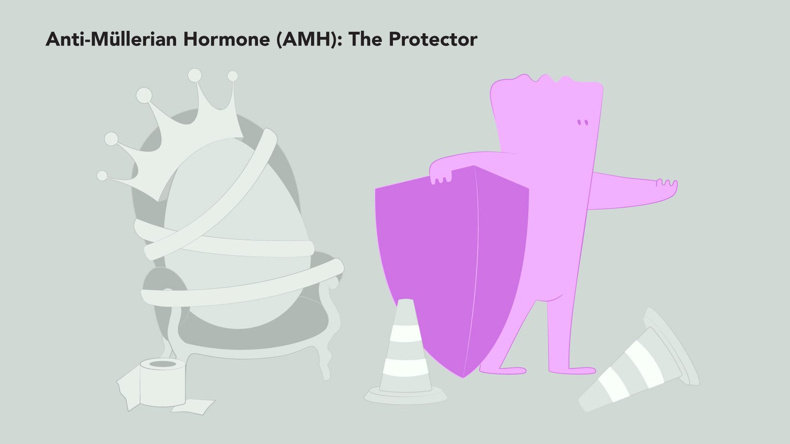 Illustration titled “Anti-Müllerian Hormone (AMH): The Protector” showing a pink character holding a shield in front of a guarded throne wrapped in tape, cones, and a crown, symbolizing AMH’s role in safeguarding the egg reserve.