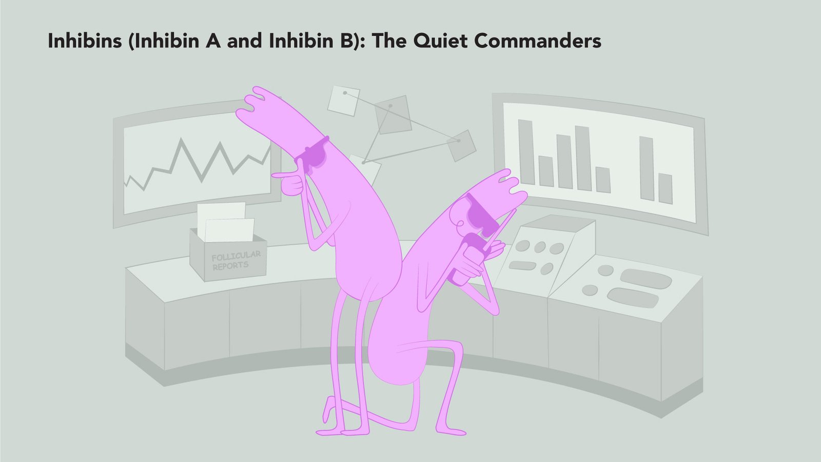 Illustration titled “Inhibins (Inhibin A and Inhibin B): The Quiet Commanders” showing two pink characters analyzing charts and data in a control room, symbolizing their behind-the-scenes role in regulating hormone signals and follicle development.