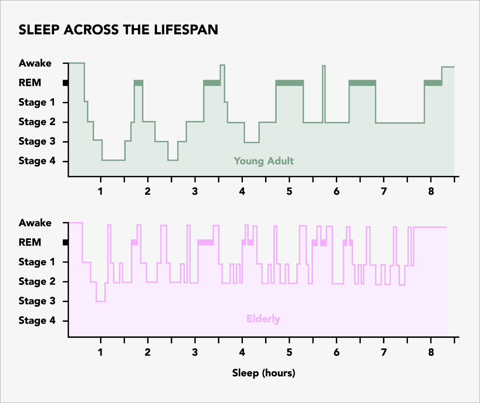 rem and nrem sleep stages