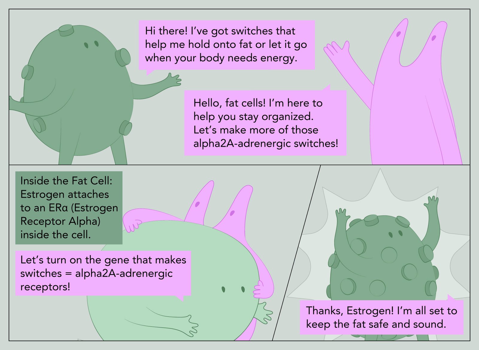 weight gain hormones