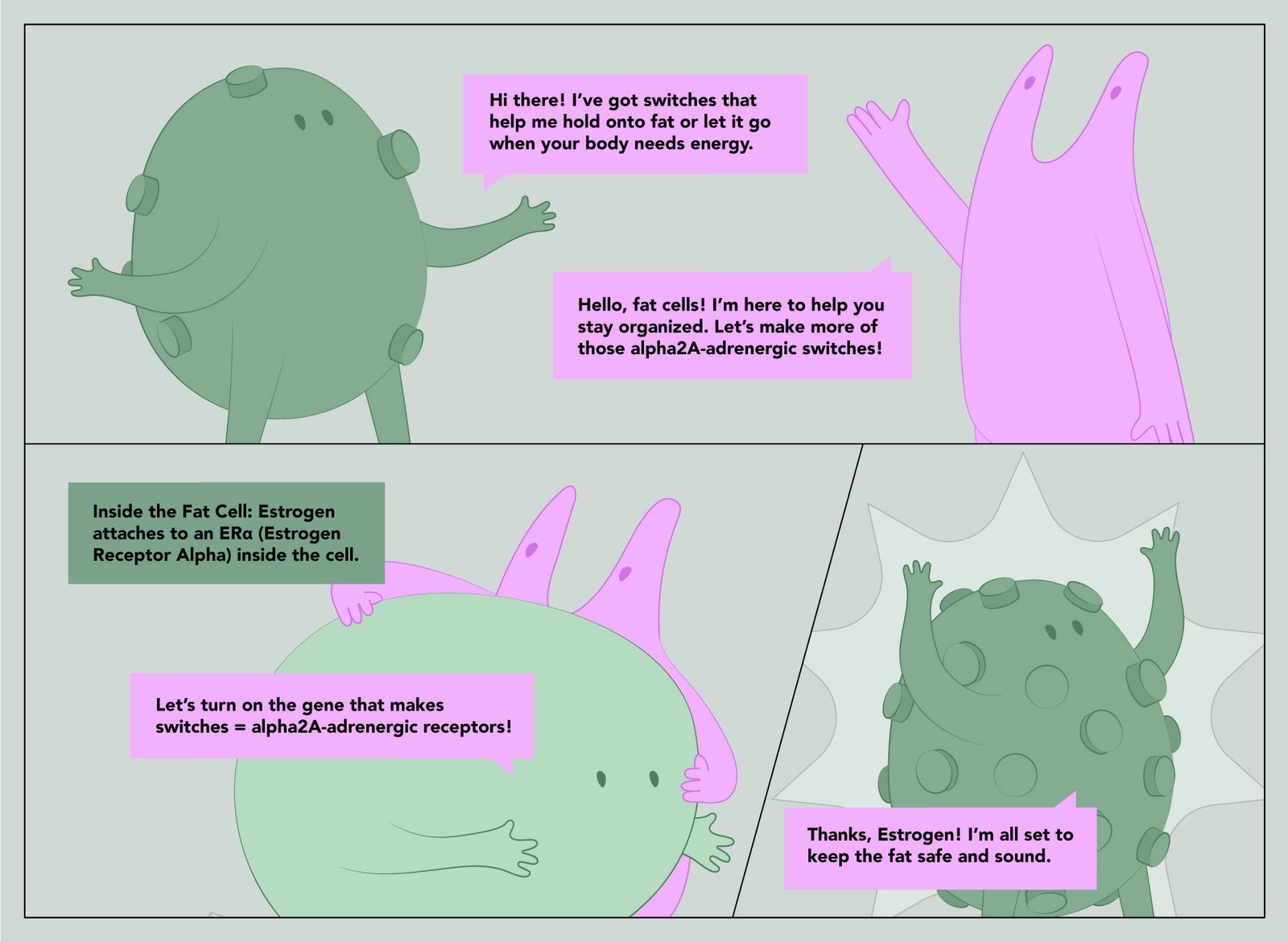 weight gain hormones