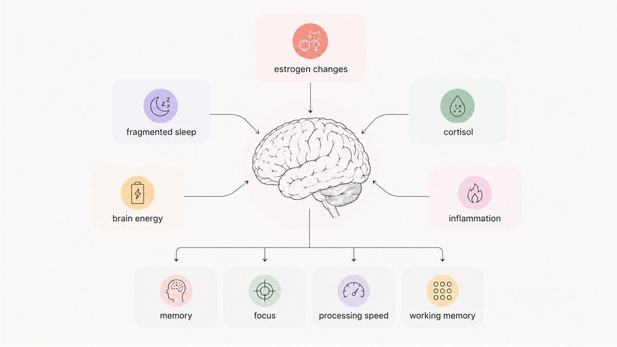 What causes menopause brain fog
