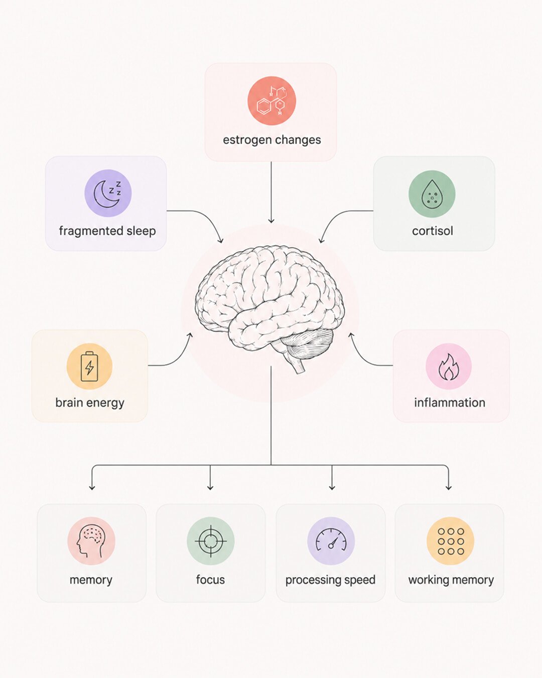 What causes menopause brain fog
