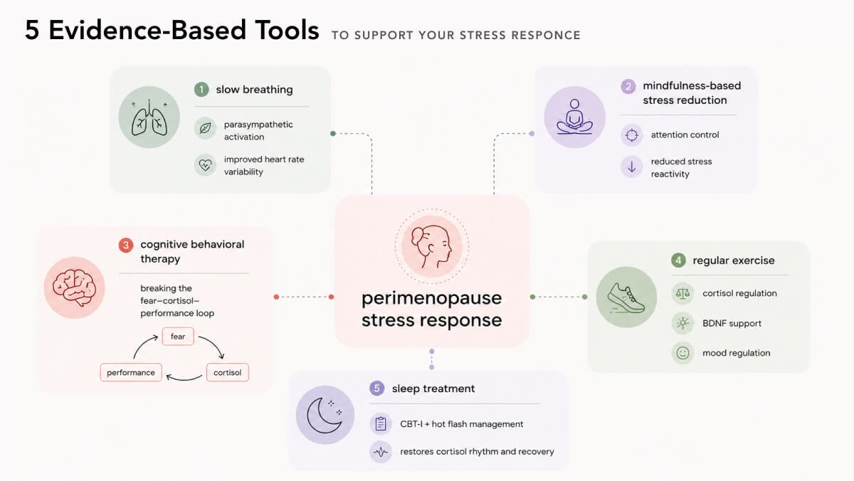 5 evidence-basede tools to support your stress response