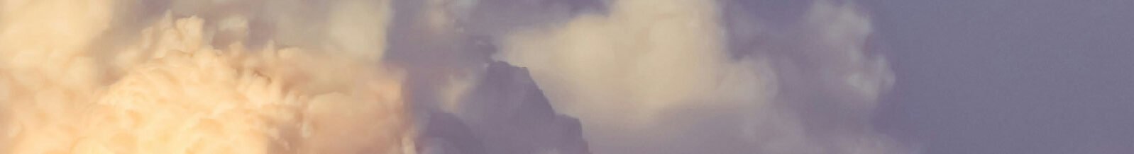 Ticking Biology Clouds