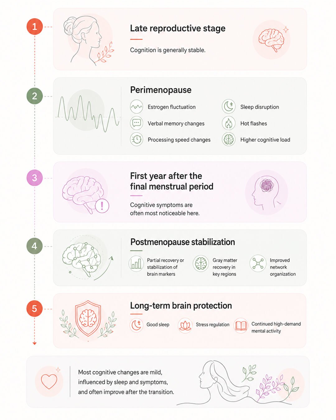 Cognitive recovery timeline in perimenopause