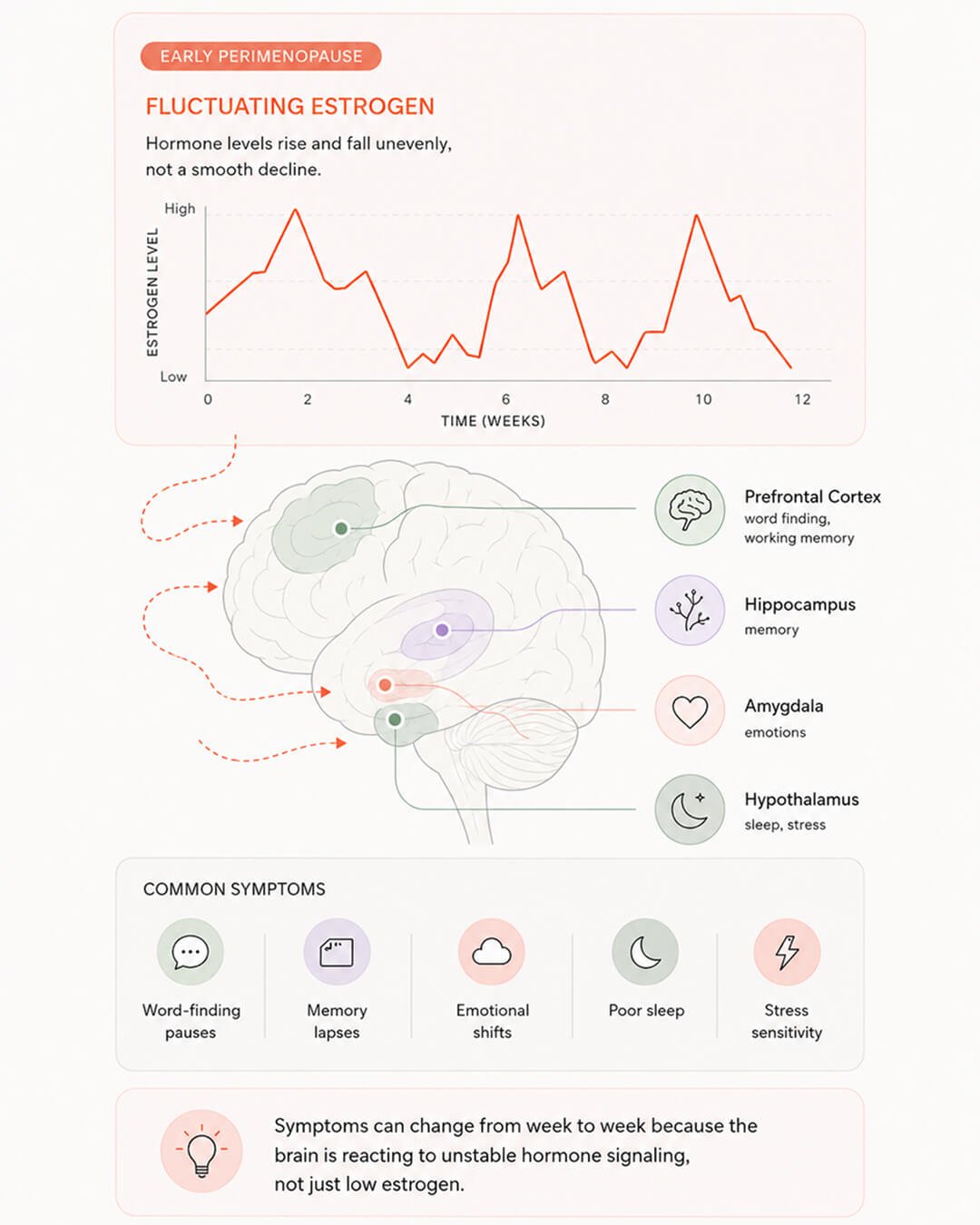 What is happening to the brain during estrogen fluctuation in early perimenopause