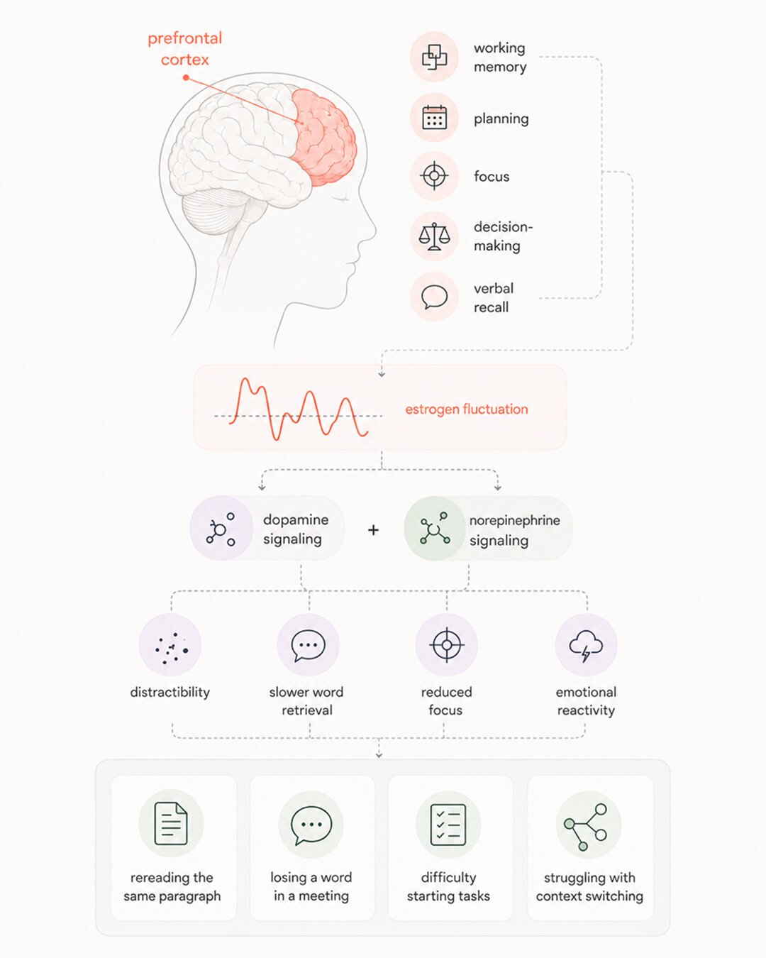 How perimenopause affects your brain