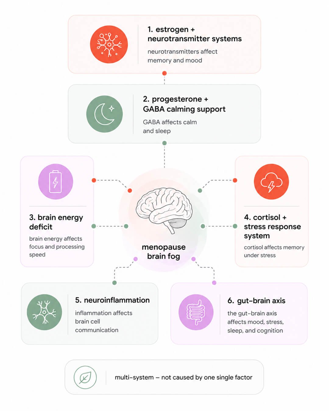 Six biological mechanisms that drive perimenopause brain fog