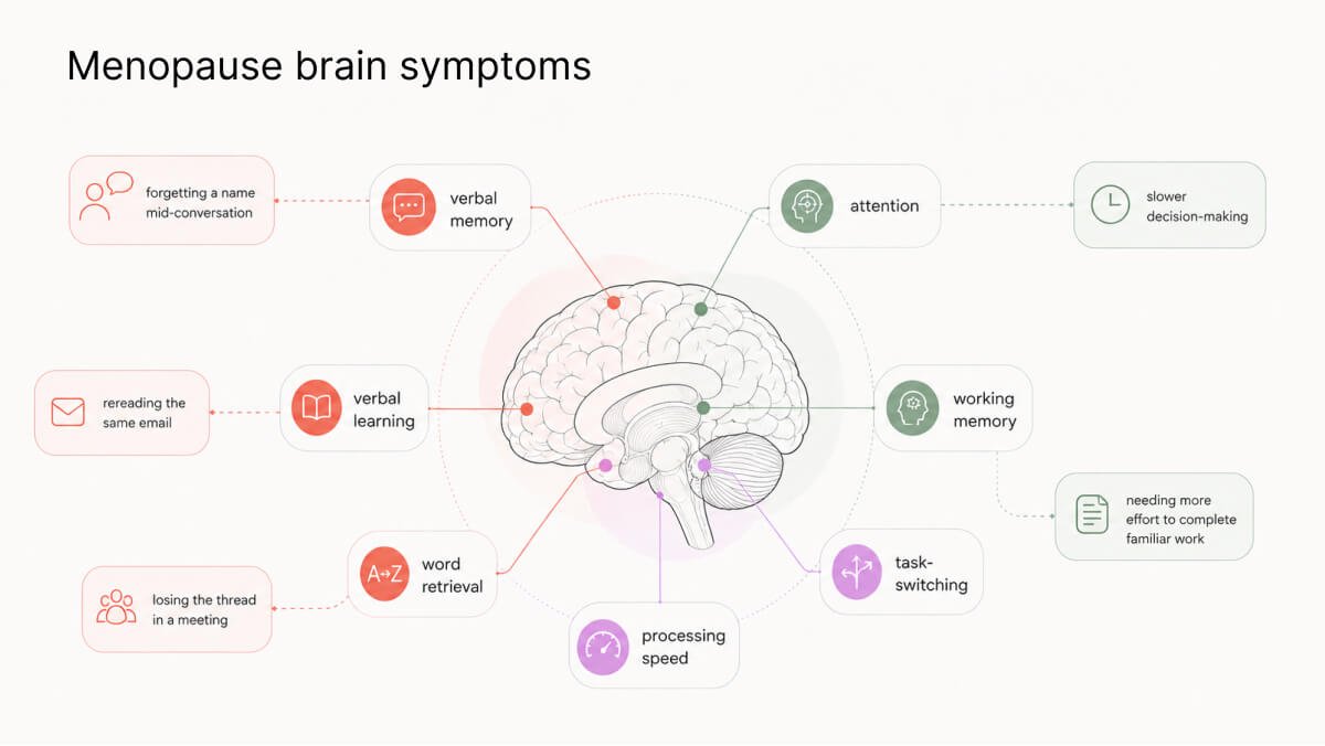 Menopause brain fog symptoms map