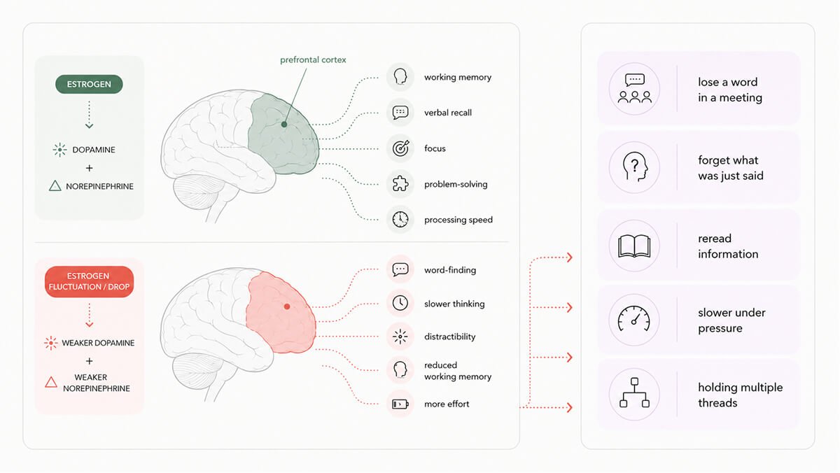Perimenopause impact on brain