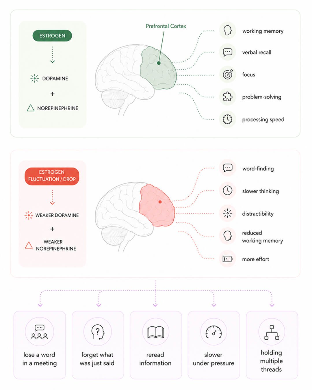 Perimenopause impact on brain