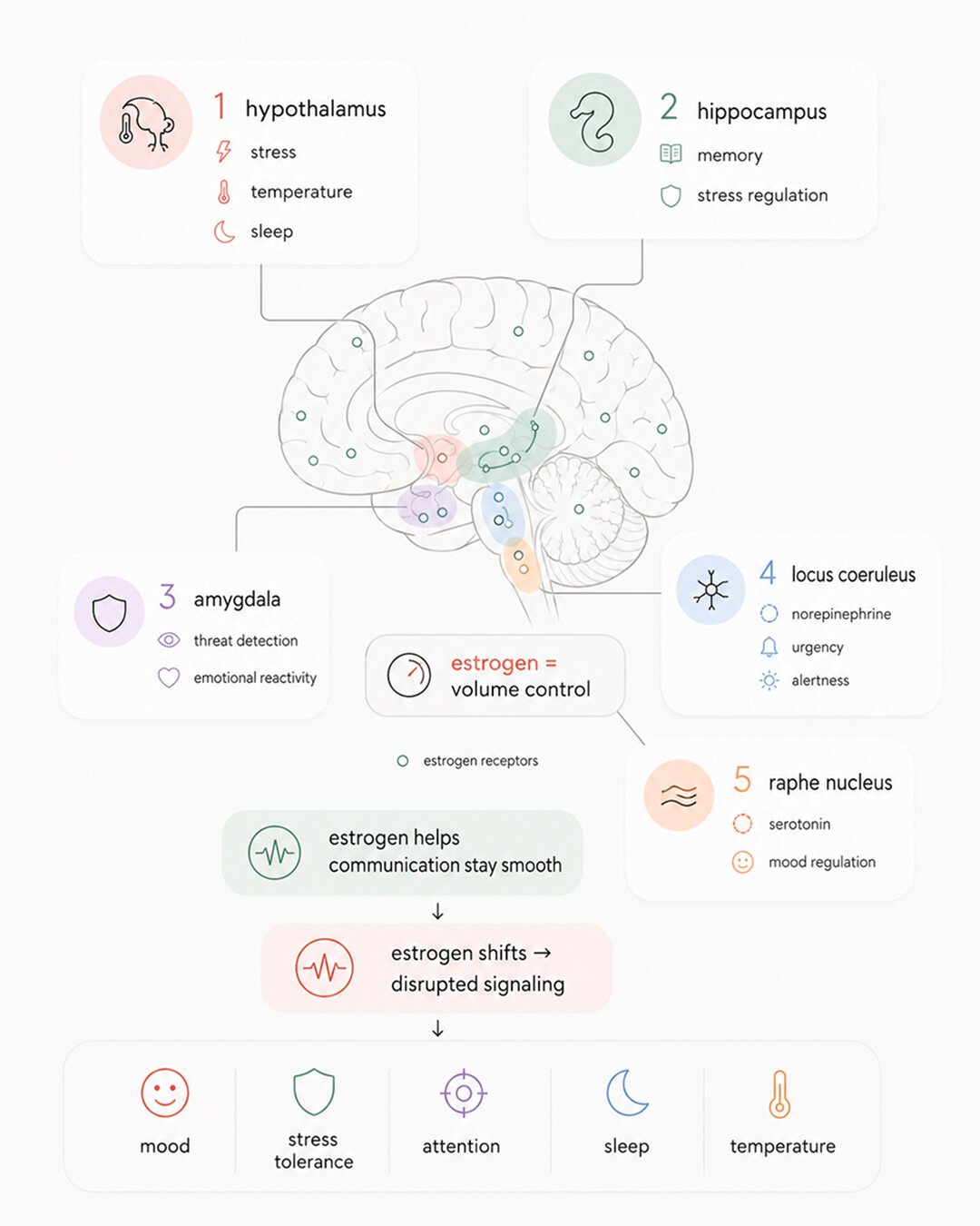 Different brain regions and what they do