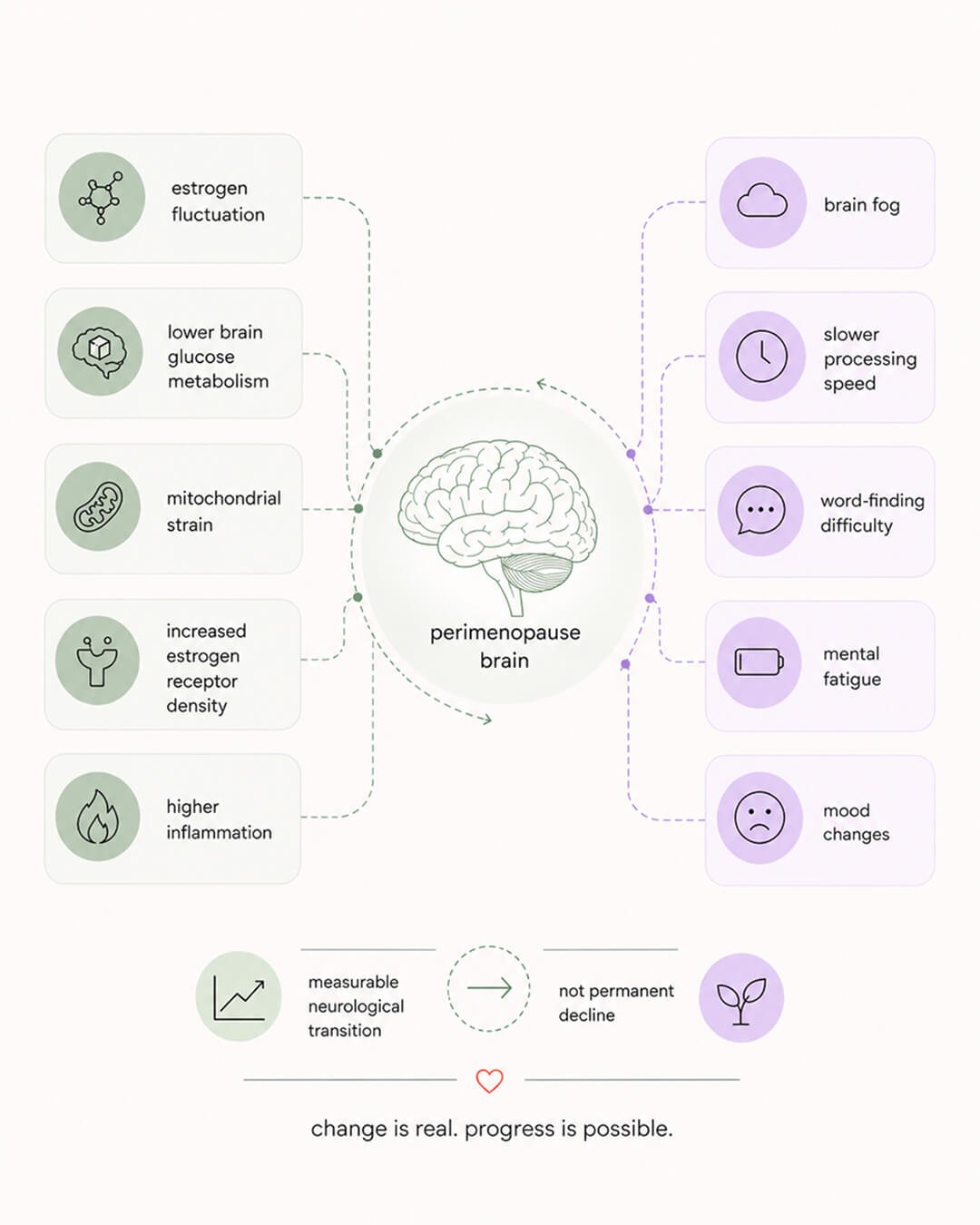 What is happening inside the menopause brain