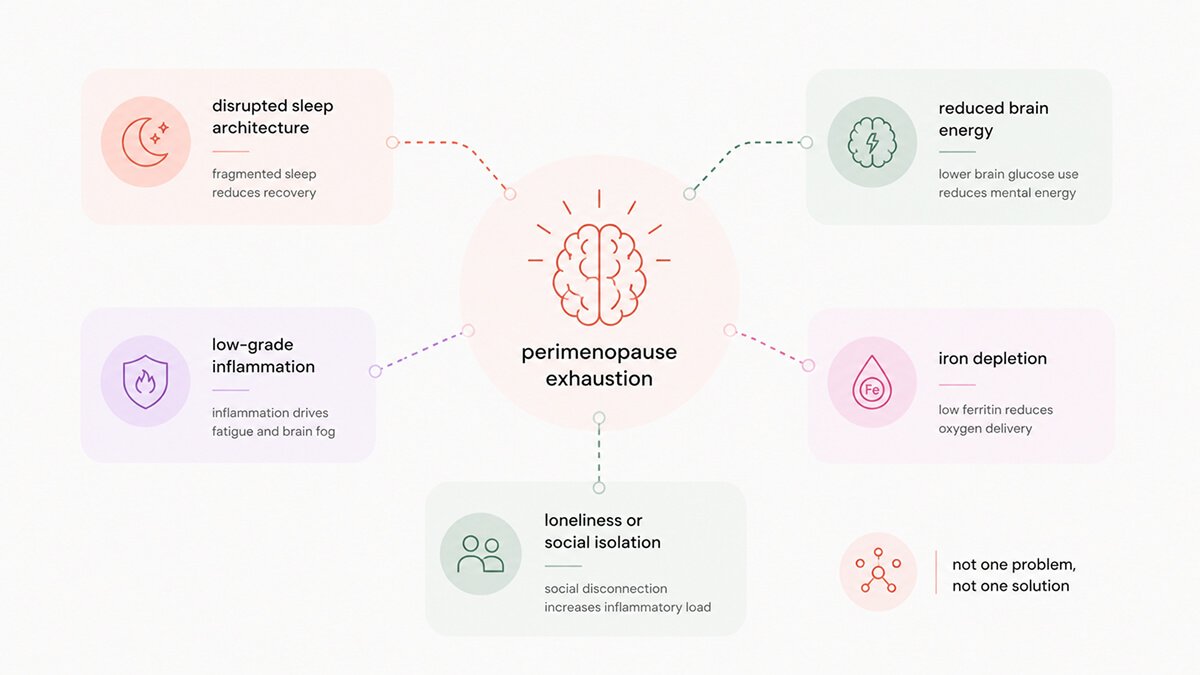 What causes perimenopause exhaustion