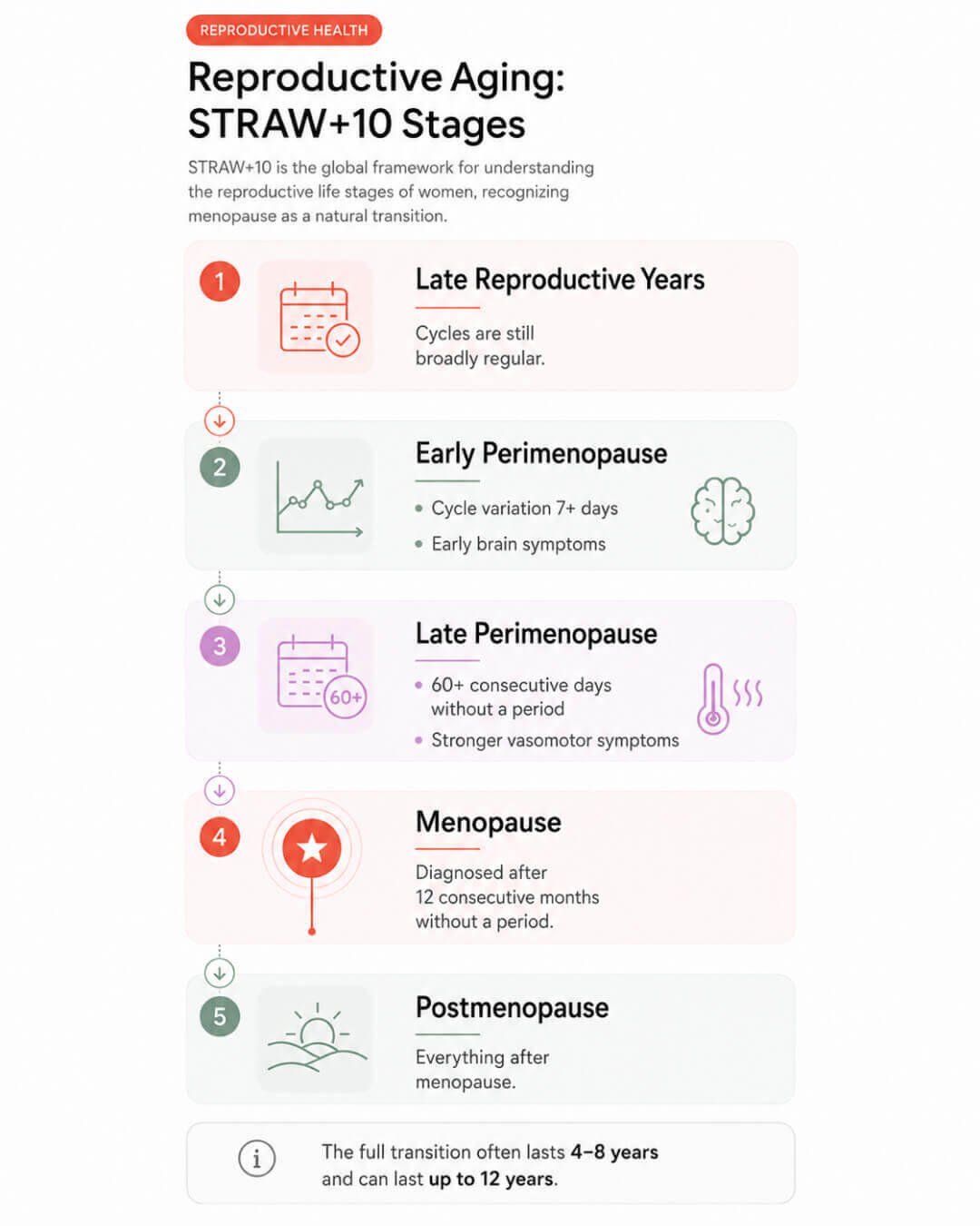 Stages of reproductive aging and the perimenopause timeline