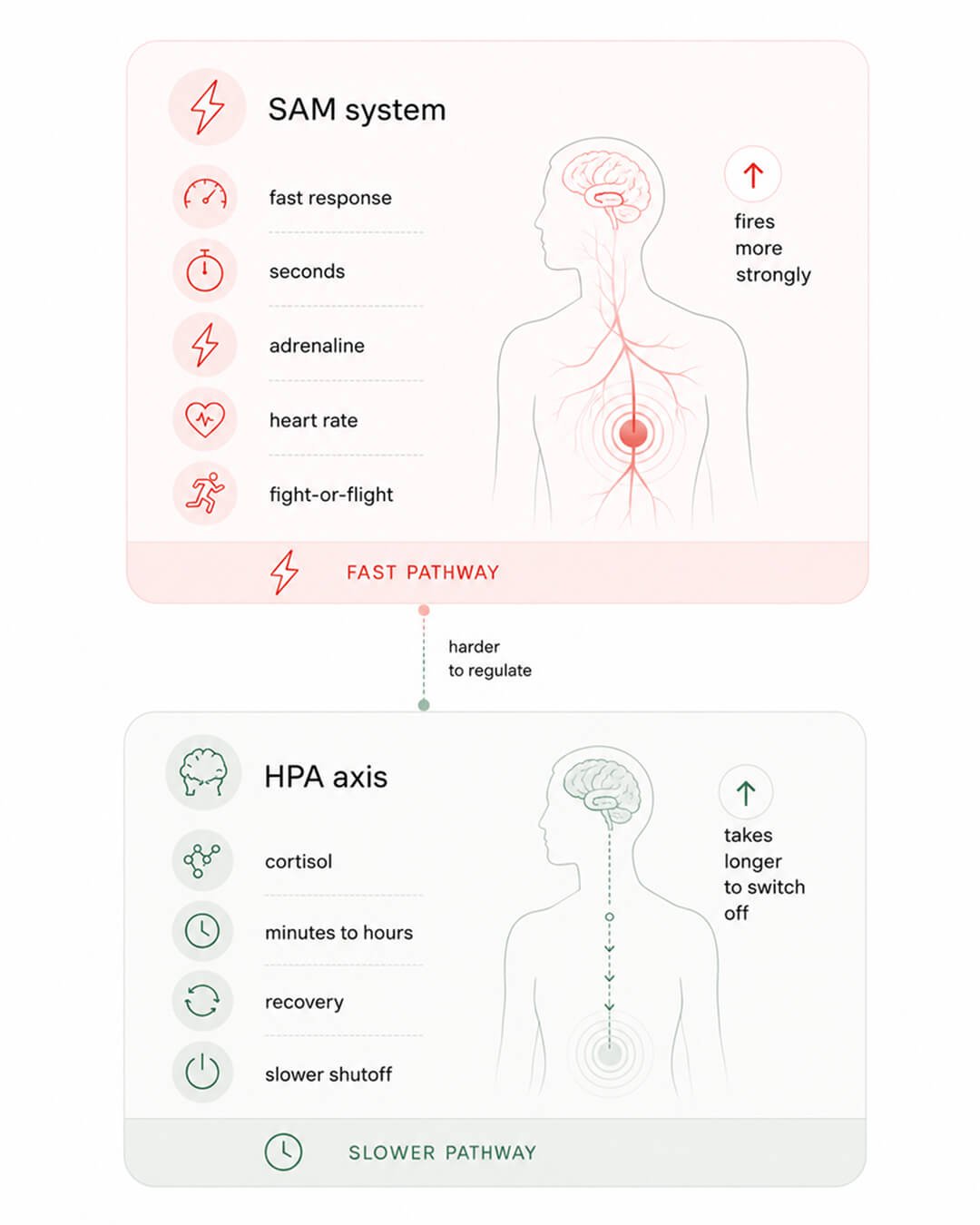 Menopause stress systems